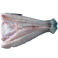 Frozen Pangasius Butterfly